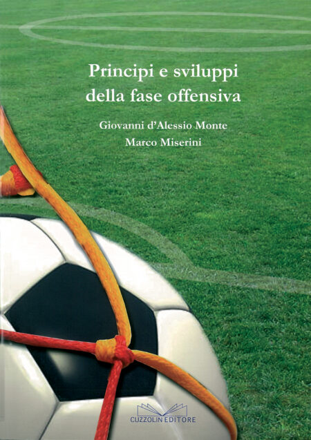 Principi e sviluppi della fase offensiva